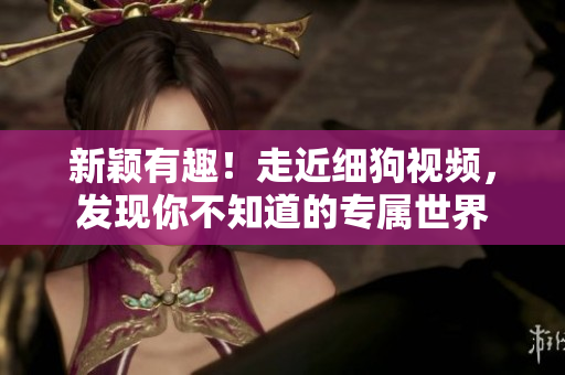 新颖有趣！走近细狗视频，发现你不知道的专属世界