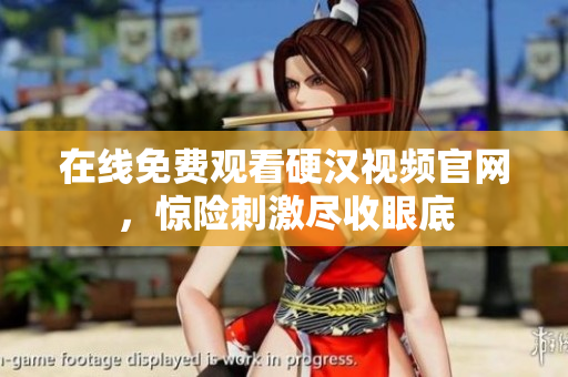 在线免费观看硬汉视频官网，惊险刺激尽收眼底