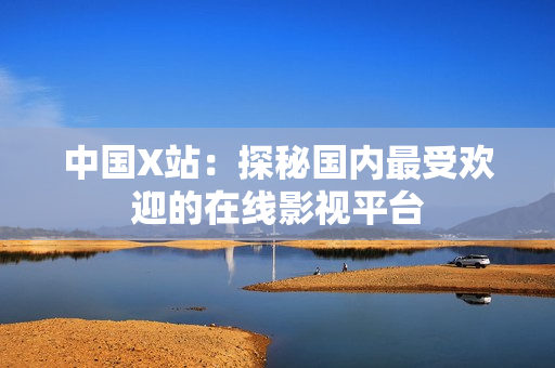 中国X站：探秘国内最受欢迎的在线影视平台