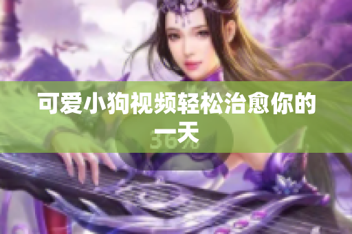 可爱小狗视频轻松治愈你的一天