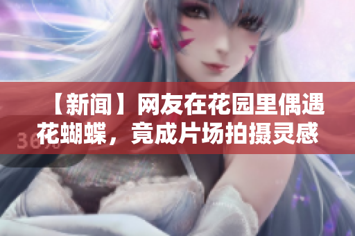 【新闻】网友在花园里偶遇花蝴蝶，竟成片场拍摄灵感