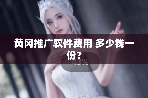 黄冈推广软件费用 多少钱一份？