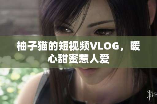 柚子猫的短视频VLOG，暖心甜蜜惹人爱