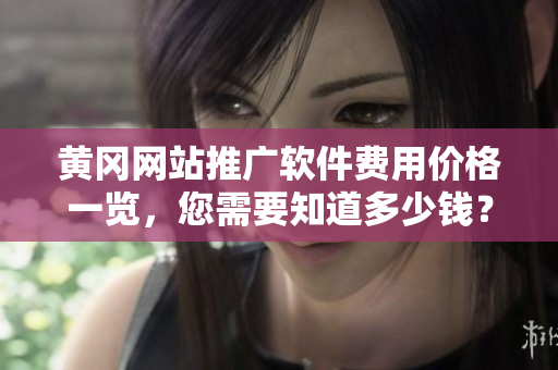 黄冈网站推广软件费用价格一览，您需要知道多少钱？