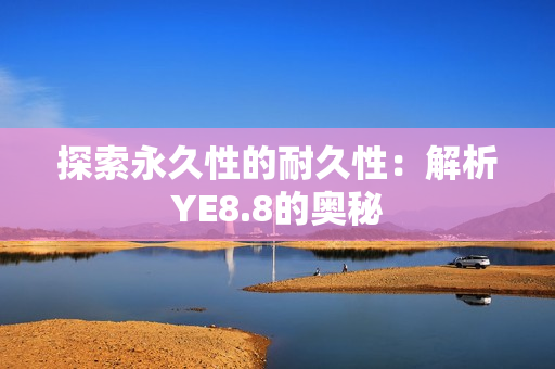 探索永久性的耐久性：解析YE8.8的奥秘