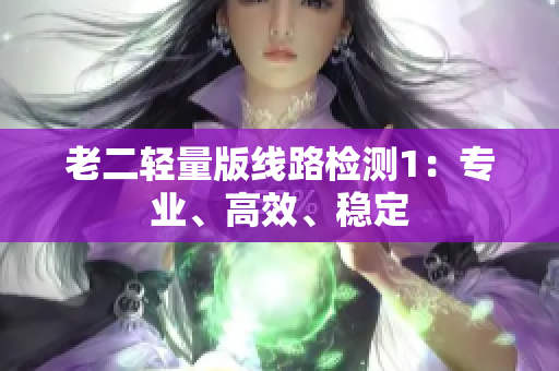 老二轻量版线路检测1：专业、高效、稳定