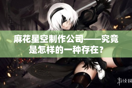 麻花星空制作公司——究竟是怎样的一种存在？