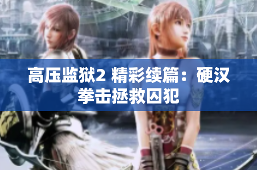 高压监狱2 精彩续篇：硬汉拳击拯救囚犯