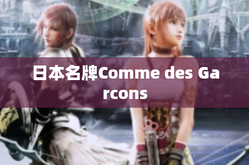 日本名牌Comme des Garcons