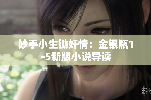 妙手小生锄奸情：金银瓶1-5新版小说导读