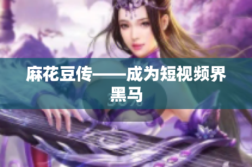 麻花豆传——成为短视频界黑马