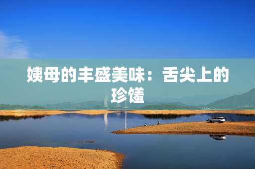 姨母的丰盛美味：舌尖上的珍馐
