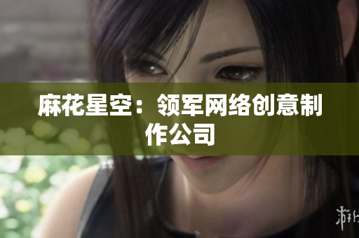 麻花星空：领军网络创意制作公司
