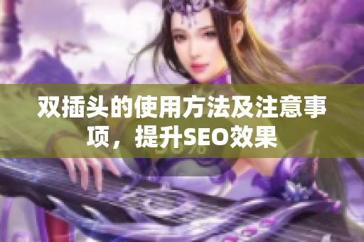 双插头的使用方法及注意事项，提升SEO效果