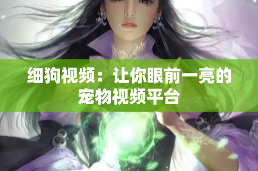 细狗视频：让你眼前一亮的宠物视频平台