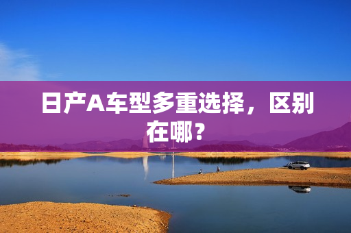 日产A车型多重选择，区别在哪？