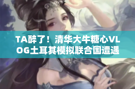 TA醉了！清华大牛糖心VLOG土耳其模拟联合国遭遇尴尬