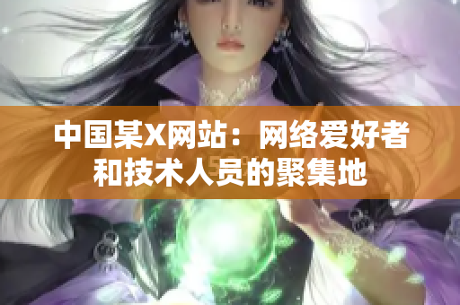 中国某X网站：网络爱好者和技术人员的聚集地