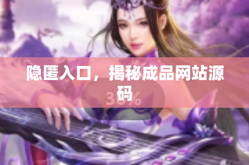 隐匿入口，揭秘成品网站源码