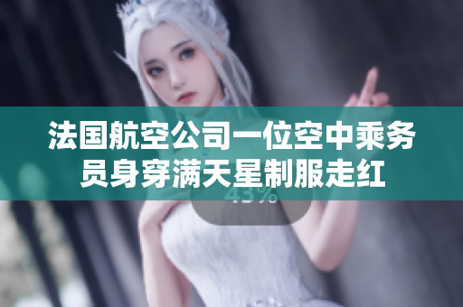 法国航空公司一位空中乘务员身穿满天星制服走红