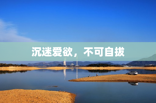 沉迷爱欲，不可自拔