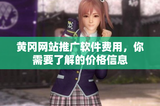 黄冈网站推广软件费用，你需要了解的价格信息