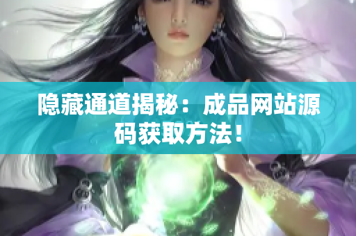 隐藏通道揭秘：成品网站源码获取方法！