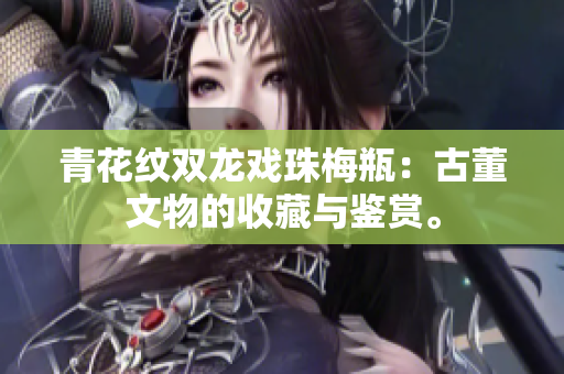 青花纹双龙戏珠梅瓶：古董文物的收藏与鉴赏。