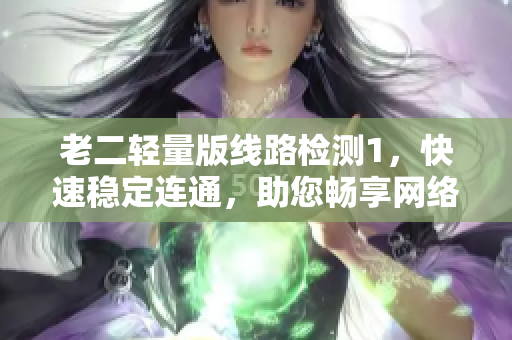 老二轻量版线路检测1，快速稳定连通，助您畅享网络！
