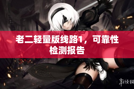 老二轻量版线路1，可靠性检测报告