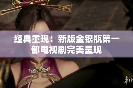 经典重现！新版金银瓶第一部电视剧完美呈现