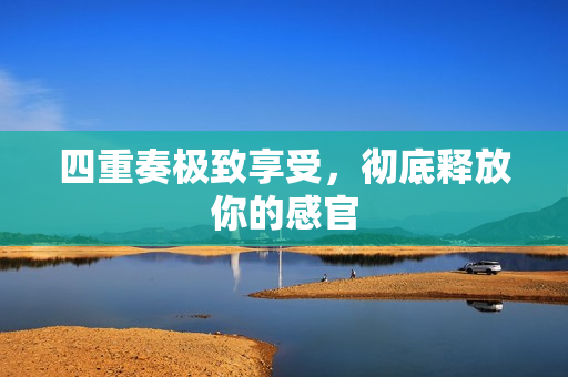 四重奏极致享受，彻底释放你的感官