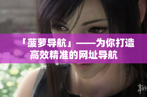 「菠萝导航」——为你打造高效精准的网址导航