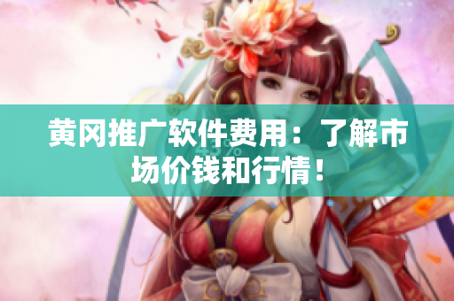 黄冈推广软件费用：了解市场价钱和行情！