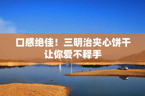 口感绝佳！三明治夹心饼干让你爱不释手