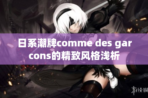 日系潮牌comme des garcons的精致风格浅析