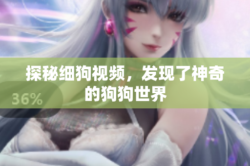 探秘细狗视频，发现了神奇的狗狗世界