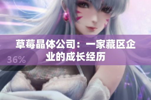 草莓晶体公司：一家藏区企业的成长经历