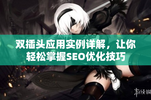 双插头应用实例详解，让你轻松掌握SEO优化技巧