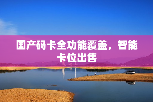 国产码卡全功能覆盖，智能卡位出售