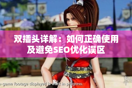 双插头详解：如何正确使用及避免SEO优化误区