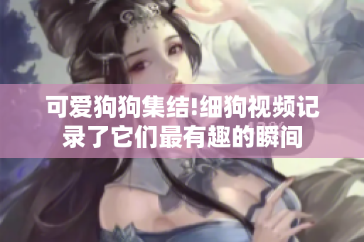 可爱狗狗集结!细狗视频记录了它们最有趣的瞬间