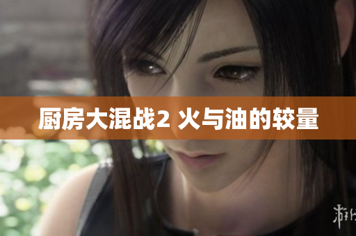 厨房大混战2 火与油的较量