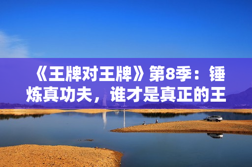 《王牌对王牌》第8季：锤炼真功夫，谁才是真正的王牌！
