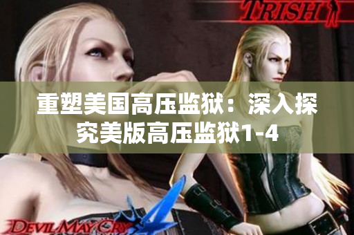 重塑美国高压监狱：深入探究美版高压监狱1-4