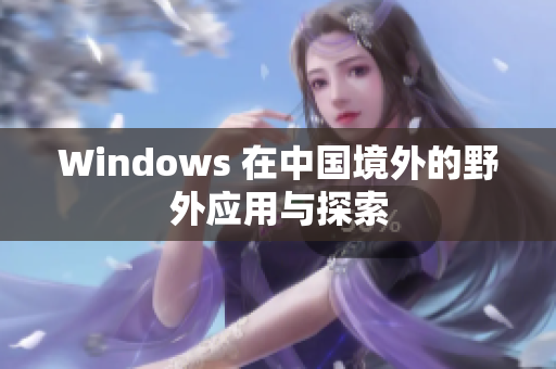 Windows 在中国境外的野外应用与探索