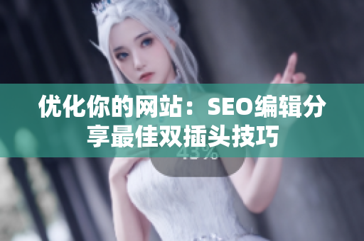 优化你的网站：SEO编辑分享最佳双插头技巧