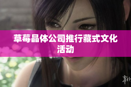 草莓晶体公司推行藏式文化活动