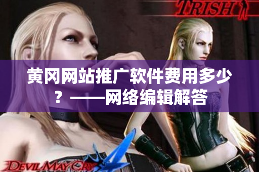 黄冈网站推广软件费用多少？——网络编辑解答
