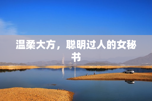 温柔大方，聪明过人的女秘书